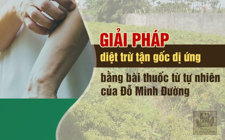 Bài thuốc Mề đay Đỗ Minh là giải pháp chữa dị ứng, mề đay hiệu quả