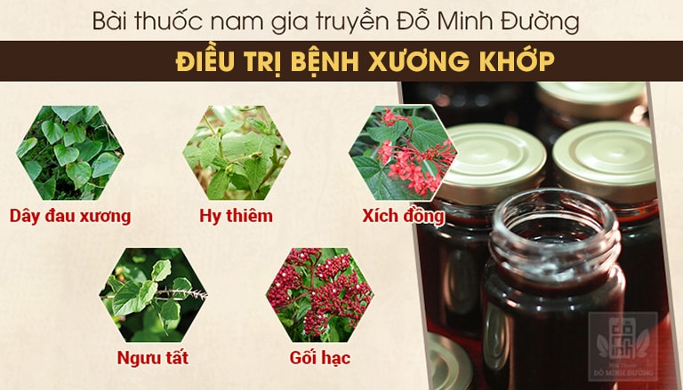 Thành phần bài thuốc gia truyền của Đỗ Minh Đường chứa dược liệu tự nhiên