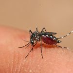 Cha mẹ chớ xem thường bệnh sốt xuất huyết Dengue ở trẻ em