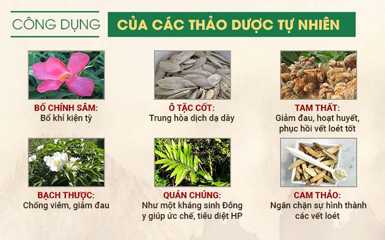 Những thảo dược có dược tính cao trong điều trị các chứng viêm, đau dạ dày