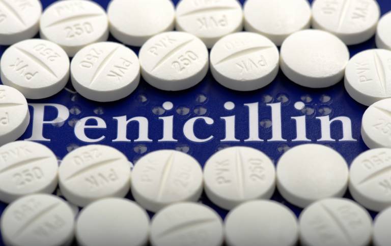 Thuốc kháng sinh Penicillin cải thiện bệnh lý